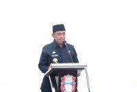 Bupati Wajo, Amran Mahmud