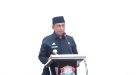 Bupati Wajo, Amran Mahmud