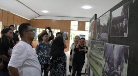 Pj Gubernur Sulbar, Akmal Malik bersama Ketua DPRD Sulbar, Suraidah Suhardi  meninjau pameran foto dan seni yg dilaksanakan di
Taman Marasa Corner Kompleks Kantor Gubernur Sulawesi Barat.