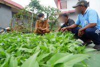 Kegiatan Pembinaan pada bidang Pertanian