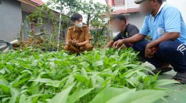 Kegiatan Pembinaan pada bidang Pertanian