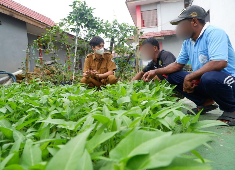 Kegiatan Pembinaan pada bidang Pertanian