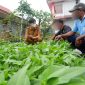 Kegiatan Pembinaan pada bidang Pertanian