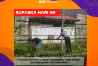 Perketat Keamanan, Rutan Pasangkayu Rutin Kontrol Brandgang dan Cek Kebersihan. Foto: Rutan Pasangkayu/dok (15/01)