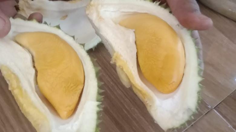 Buah Durian Duri Hitam