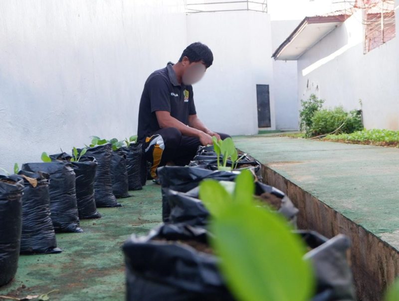 Kegiatan pembinaan pertanian di Rutan Mamuju