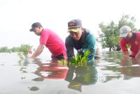 arutan Mamuju bersama Kabinda Sulbar melakukan penanaman Mangrove di Pesisir Pantai di Bulutakkang