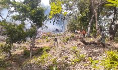 Karhutla Binuang: 1,2 Hektare Kebun Cengkeh dan Kakao Ludes Terbakar