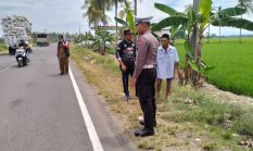 Kecelakaan Maut di Jalur Trans Sulawesi, Lansia Tewas Usai Diserempet Mobil Misterius