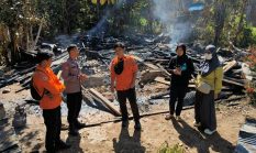Lansia Tewas dalam Kebakaran Rumah di Tapango, Kerugian Capai Rp50 Juta