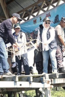 HUT ke-486 Mamuju, Bupati Sutinah Pimpin Aksi Transplantasi Karang di Pulau Karampuang