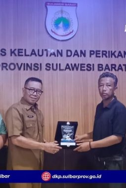 DKP Sulbar dan Elnusa Perkuat Sinergi, Survey Seismik 3D Kandawulo Berjalan Lancar
