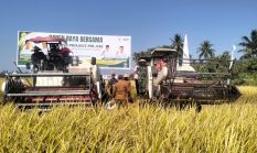 Panen Raya di Wonomulyo, Dandim Polman Dorong Produksi Padi Terus Ditingkatkan