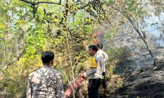 Polresta Mamuju Bersama TNI-Pemda Sigap Padamkan Karhutla di Desa Sumare, Permukiman Warga Terlindungi