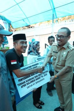 Gubernur Sulbar Targetkan 30 Kelompok Peternak Majene Dapat Bantuan Kambing
