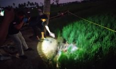 Pria Ditemukan Tewas di Sawah Binuang, Polisi Gerak Cepat Olah TKP