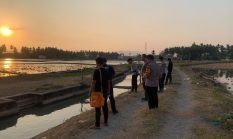 Tragis! Anak 5 Tahun Ditemukan Tak Bernyawa di Saluran Irigasi Mapilli Barat