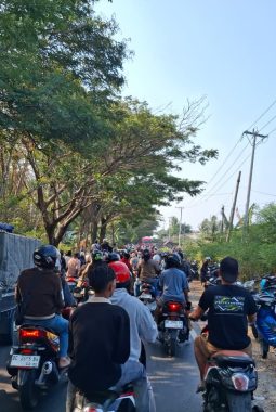 Sandeq Silumba 2026 Menggila! Warga Padati Jalur Majene-Polman Saksikan 80 Perahu Berlaga