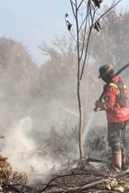 Asap Karhutla Mengancam Kesehatan, Dinkes Sulbar: Waspadai Sesak hingga Nyeri Dada