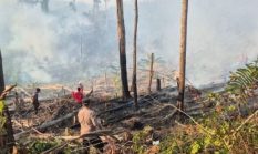 Asap Tebal Selimuti Mamuju, BPBD Sulbar Imbau Warga Waspada
