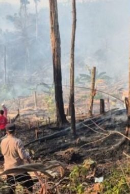 Asap Tebal Selimuti Mamuju, BPBD Sulbar Imbau Warga Waspada