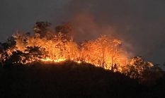 Gabungan Polresta Mamuju Bersama Brimob dan Warga Berhasil Padamkan Karhutla di Bukit Tambayako