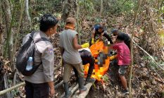Cium Bau Menyengat, Warga Campalagian Temukan Petani 75 Tahun Meninggal